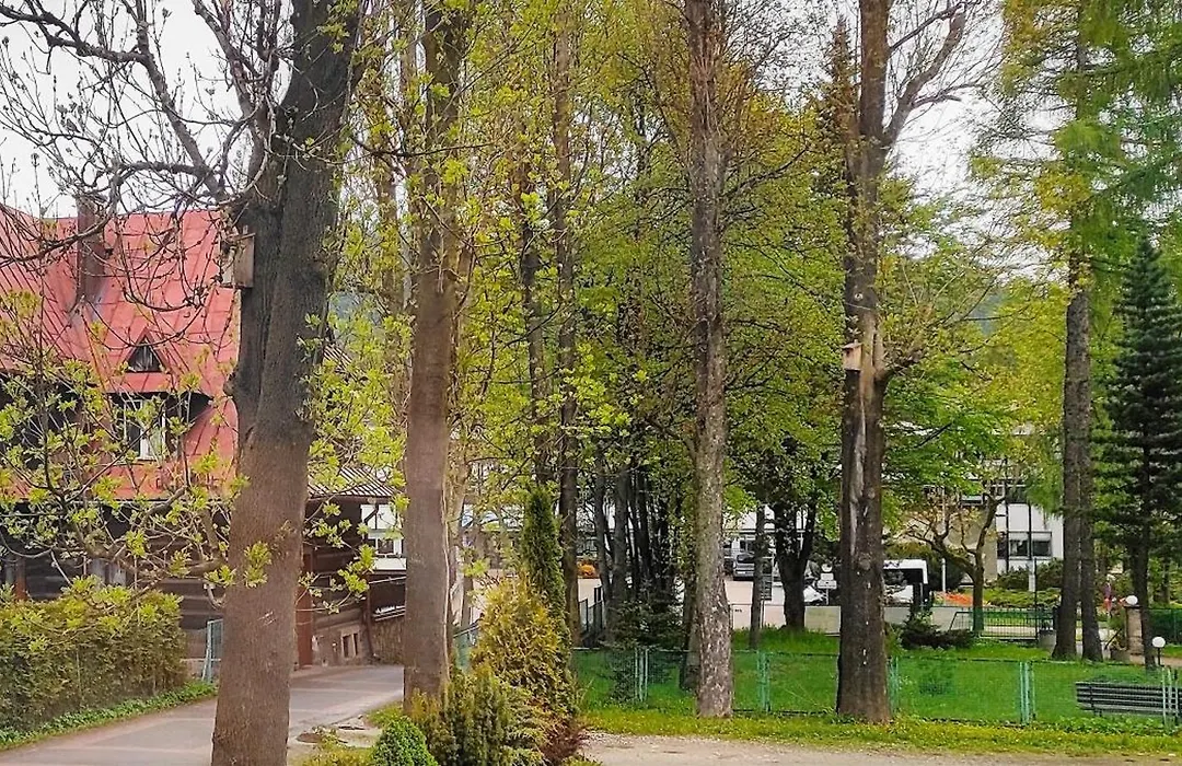 Hosana Zakopane Pokoje Goscinne I Apartamenty-1
